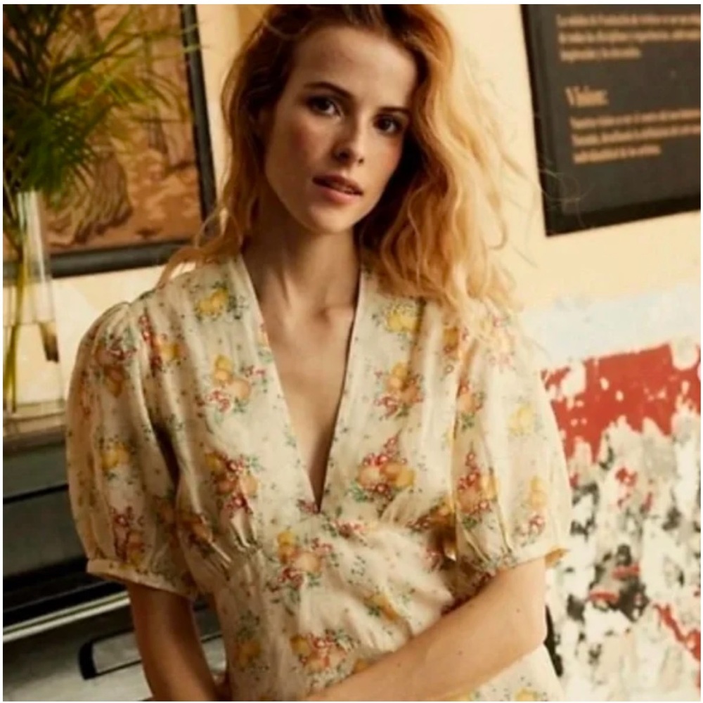 NWT DOEN Wisteria Dress in Botanical Orchard, size M